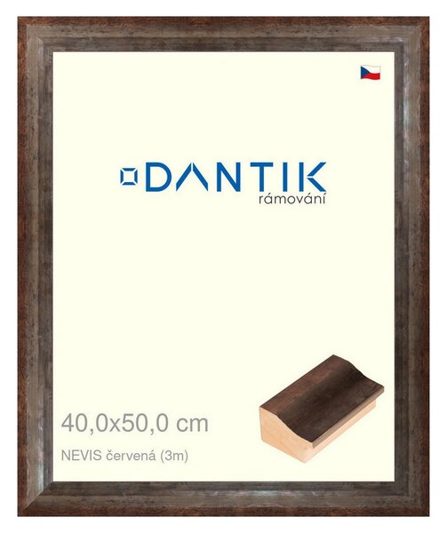 DANTIK rám na obraz 40x50 | NEVIS červená (Plexi Čiré)