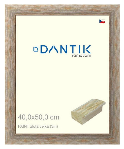 DANTIK rám na obraz 40x50 | PAINT žlutá velká (Plexi Čiré)