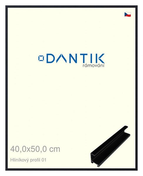 DANTIK rám na obraz 40x50 | ALU Černá matná (Plexi Čiré)