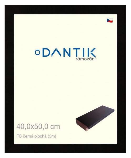 DANTIK rám na obraz 40x50 | FC černá plochá (Plexi Čiré)