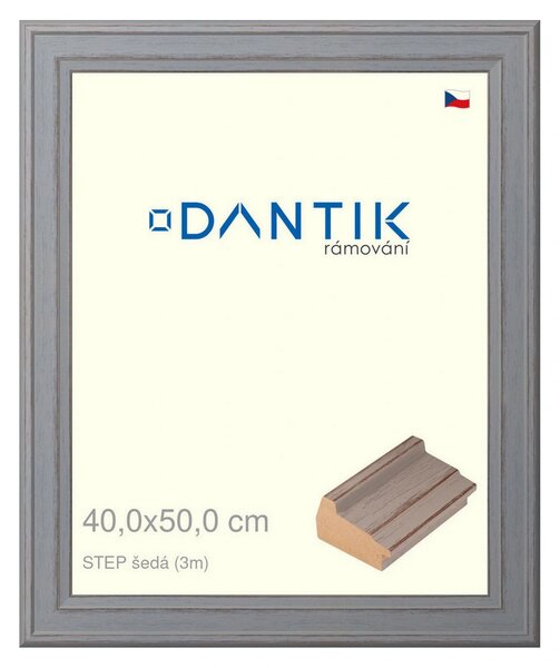 DANTIK rám na obraz 40x50 | STEP šedá (Plexi Čiré)