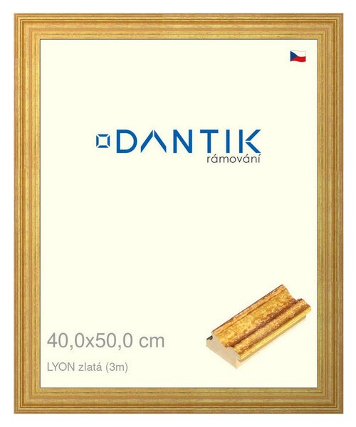 DANTIK rám na obraz 40x50 | LYON zlatá (Plexi Čiré)