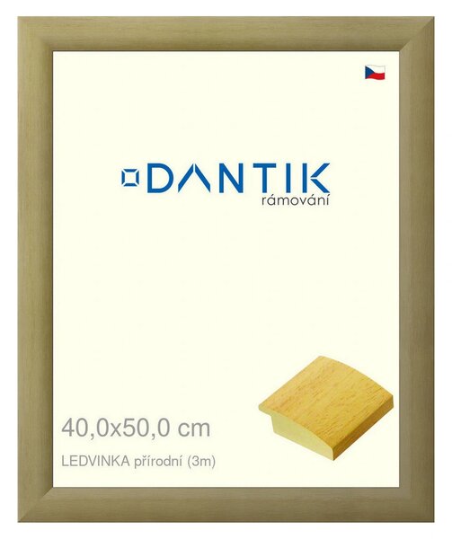 DANTIK rám na obraz 40x50 | LEDVINKA přírodní (Plexi Čiré)