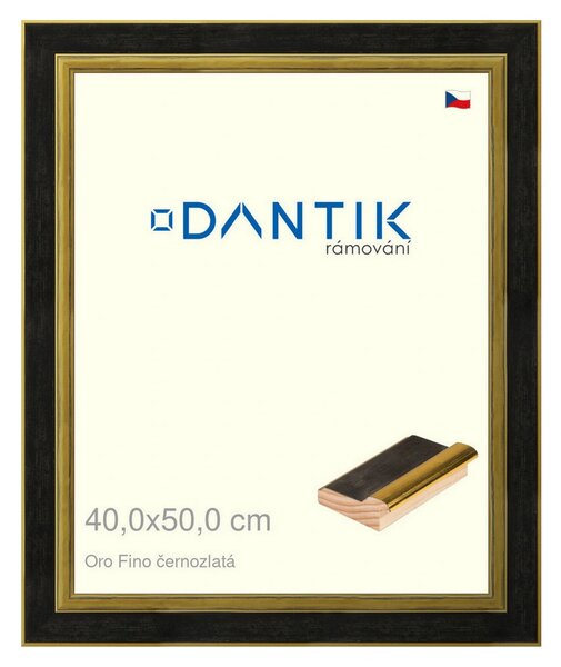 DANTIK rám na obraz 40x50 | Oro Fino černozlatá (Plexi Čiré)