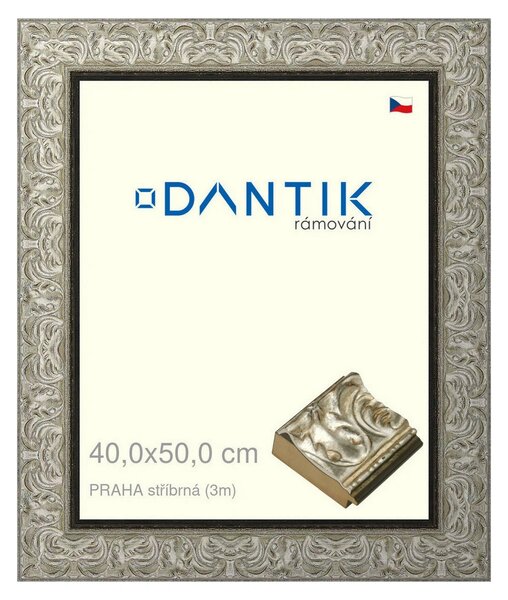 DANTIK rám na obraz 40x50 | PRAHA stříbrná (Plexi Čiré)