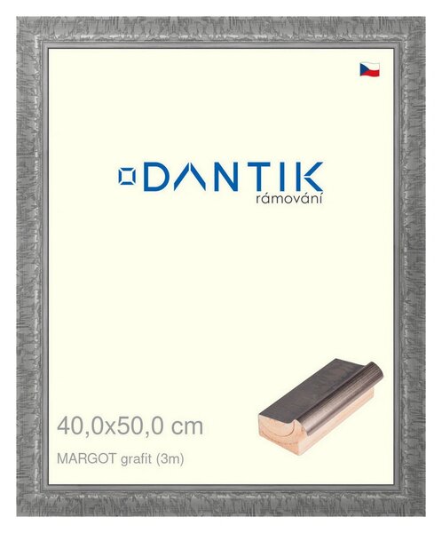 DANTIK rám na obraz 40x50 | MARGOT grafit (Plexi Čiré)
