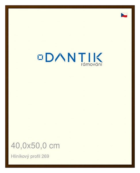 DANTIK rám na obraz 40x50 | ALU Hnědá umbra broušená (Plexi Čiré)
