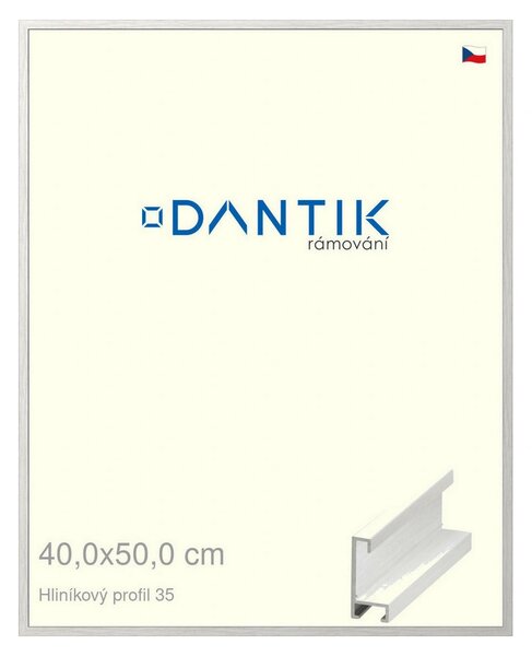 DANTIK rám na obraz 40x50 | ALU Dýha bílá (Plexi Čiré)