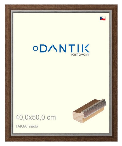 DANTIK rám na obraz 40x50 | TAIGA hnědá (Plexi Čiré)
