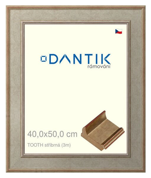 DANTIK rám na obraz 40x50 | TOOTH stříbrná (Plexi Čiré)