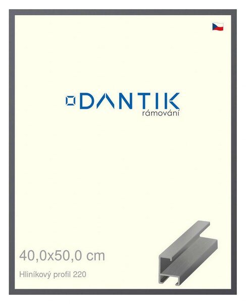 DANTIK rám na obraz 40x50 | ALU Ocelová (Plexi Čiré)