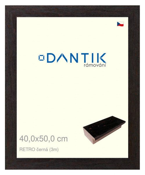 DANTIK rám na obraz 40x50 | RETRO černá (Plexi Čiré)