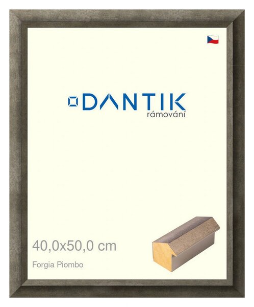 DANTIK rám na obraz 40x50 | Forgia Piombo (Plexi Čiré)