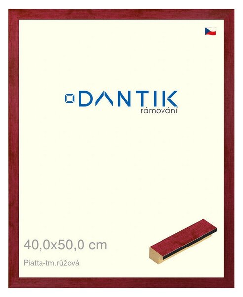 DANTIK rám na obraz 40x50 | PIATTA tm.růžová (Plexi Čiré)