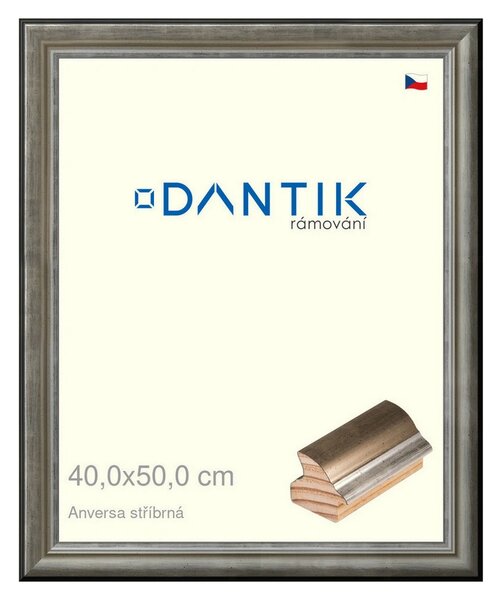DANTIK rám na obraz 40x50 | ANIVERSA stříbrná (Plexi Čiré)