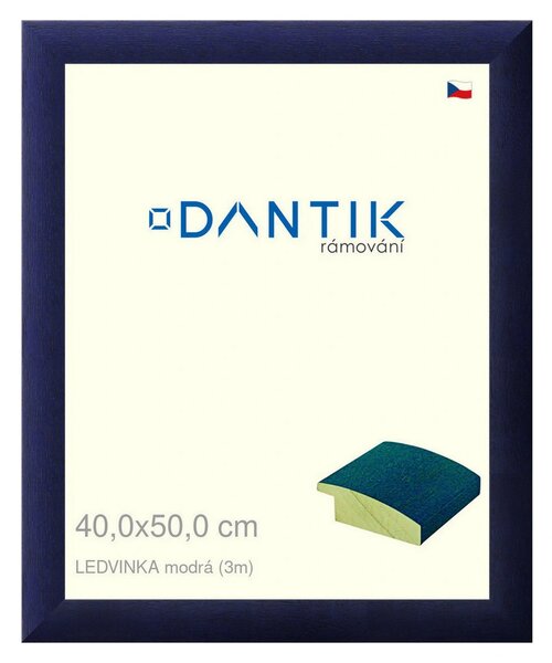 DANTIK rám na obraz 40x50 | LEDVINKA modrá (Plexi Čiré)