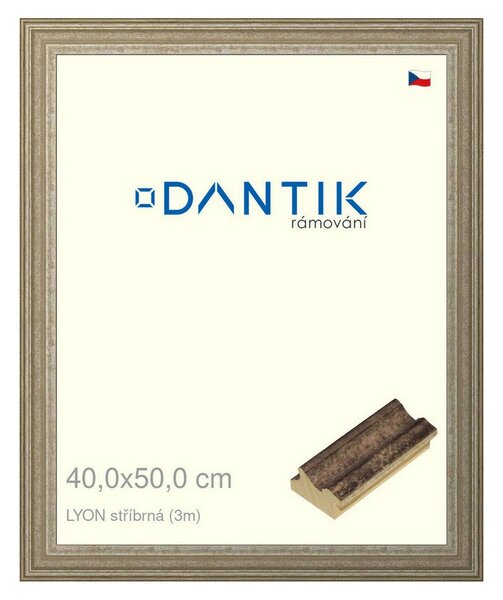 DANTIK rám na obraz 40x50 | LYON stříbrná (Plexi Čiré)