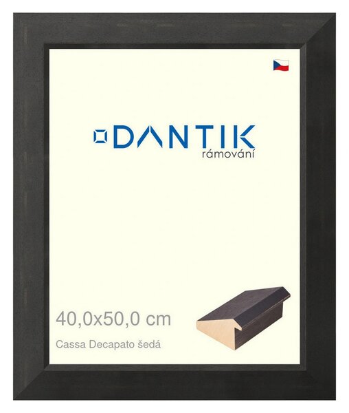 DANTIK rám na obraz 40x50 | Caa Decapato černá (Plexi Čiré)