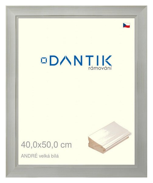 DANTIK rám na obraz 40x50 | ANDRÉ velká Bílá (Plexi Čiré)