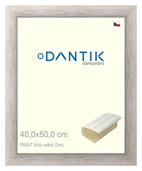 DANTIK rám na obraz 40x50 | PAINT bílá velká (Plexi Čiré)