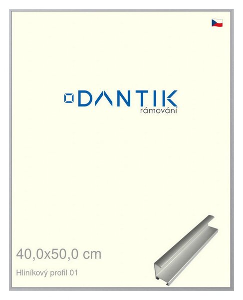 DANTIK rám na obraz 40x50 | ALU Stříbrná matná (Plexi Čiré)