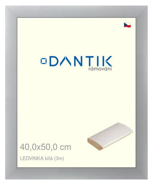 DANTIK rám na obraz 40x50 | LEDVINKA bílá (Plexi Čiré)