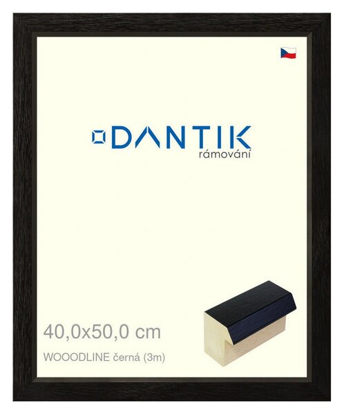 DANTIK rám na obraz 40x50 | WOODLINE černá (Plexi Čiré)