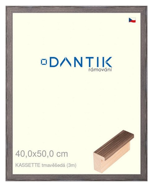 DANTIK rám na obraz 40x50 | KASSETTE tmavěšedá (Plexi Čiré)