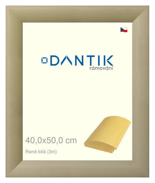 DANTIK rám na obraz 40x50 | René bílá (Plexi Čiré)