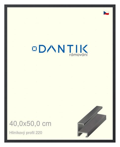 DANTIK rám na obraz 40x50 | ALU Černá matná (Plexi Čiré)