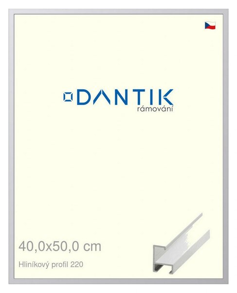 DANTIK rám na obraz 40x50 | ALU Bílá matná (Plexi Čiré)
