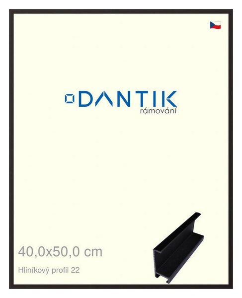 DANTIK rám na obraz 40x50 | ALU Černá matná (Plexi Čiré)