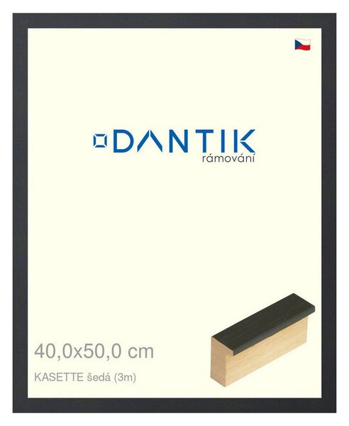 DANTIK rám na obraz 40x50 | KASSETTE šedá (Plexi Čiré)