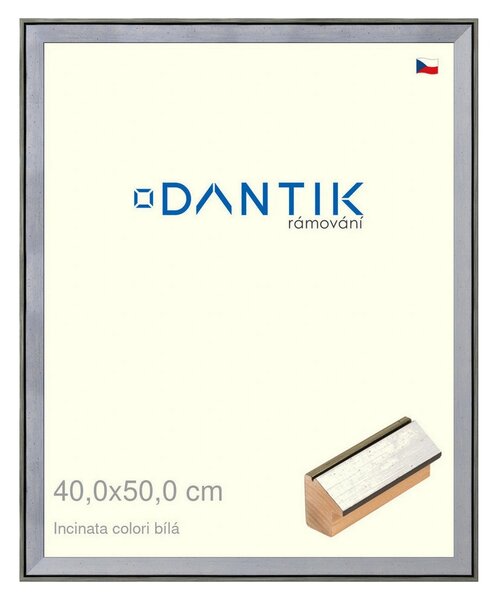 DANTIK rám na obraz 40x50 | INCLINATA colori Bílá (Plexi Čiré)