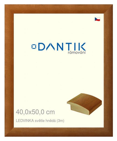 DANTIK rám na obraz 40x50 | LEDVINKA světle hnědá (Plexi Čiré)