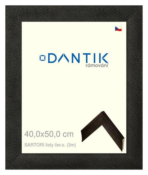 DANTIK rám na obraz 40x50 | SARTORI listy čer.s. (Plexi Čiré)
