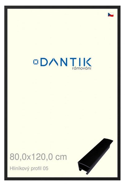 DANTIK rám na obraz 80x120 | ALU Černá matná (Plexi Čiré)