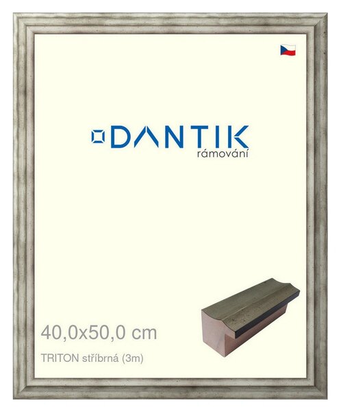 DANTIK rám na obraz 40x50 | TRITON stříbrná (Plexi Čiré)