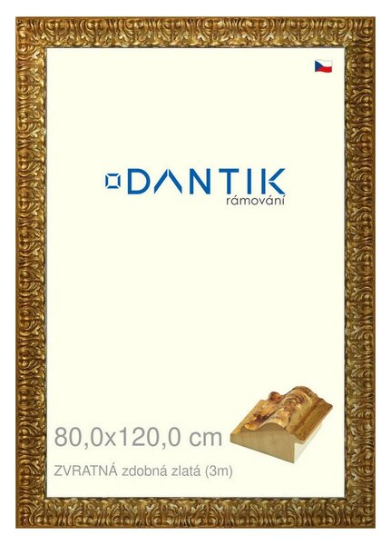 DANTIK rám na obraz 80x120 | ZVRATNÁ zdobná zlatá (Plexi Čiré)