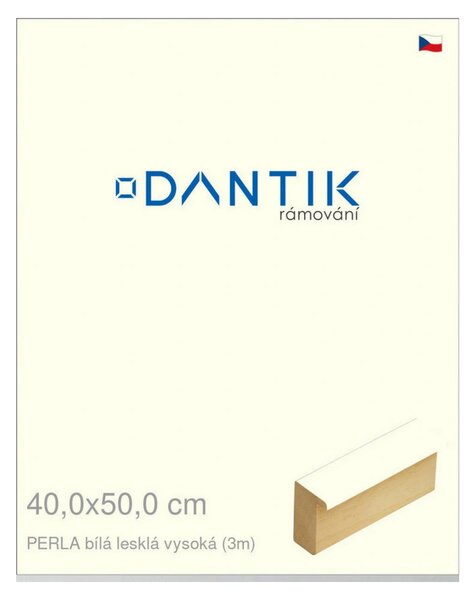 DANTIK rám na obraz 40x50 | PERLA bílá lesklá vysoká (Plexi Čiré)