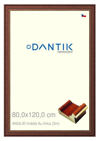 DANTIK rám na obraz 80x120 | ANGLIE hnědá Au linka (Plexi Čiré)