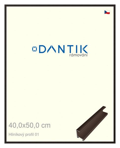 DANTIK rám na obraz 40x50 | ALU Hnědá matná (Plexi Čiré)