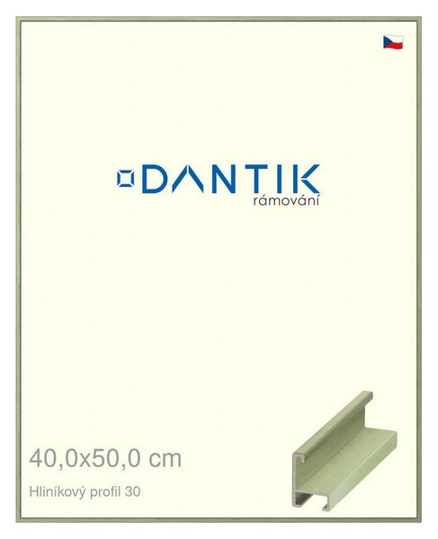 DANTIK rám na obraz 40x50 | ALU Dýha barevná zelená pastel (Plexi Čiré)