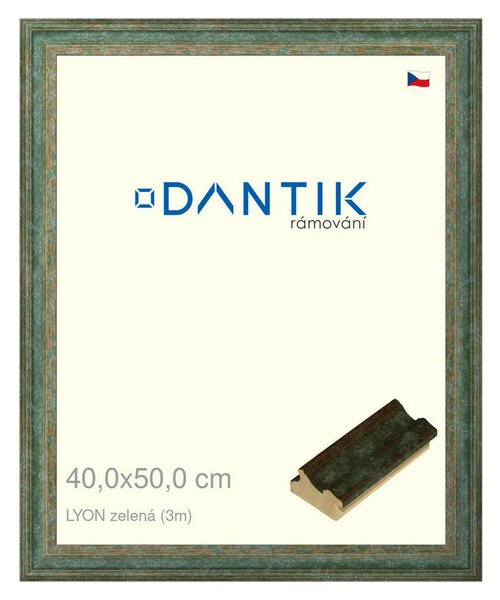 DANTIK rám na obraz 40x50 | LYON zelená (Plexi Čiré)