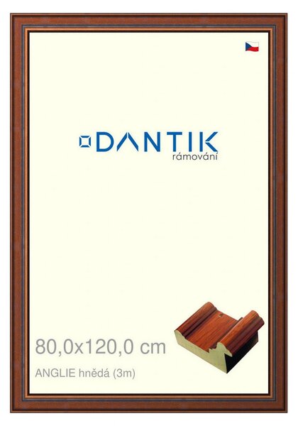 DANTIK rám na obraz 80x120 | ANGLIE hnědá (Plexi Čiré)