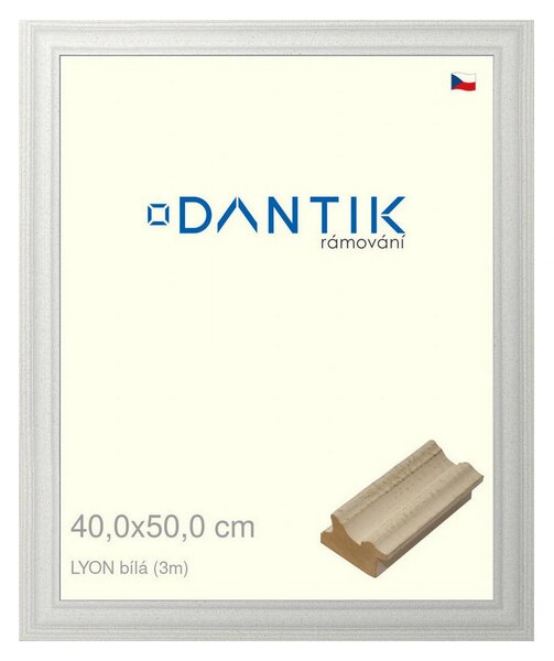 DANTIK rám na obraz 40x50 | LYON Bílá (Plexi Čiré)