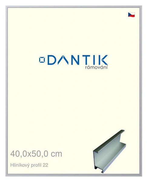DANTIK rám na obraz 40x50 | ALU Stříbrná matná (Plexi Čiré)