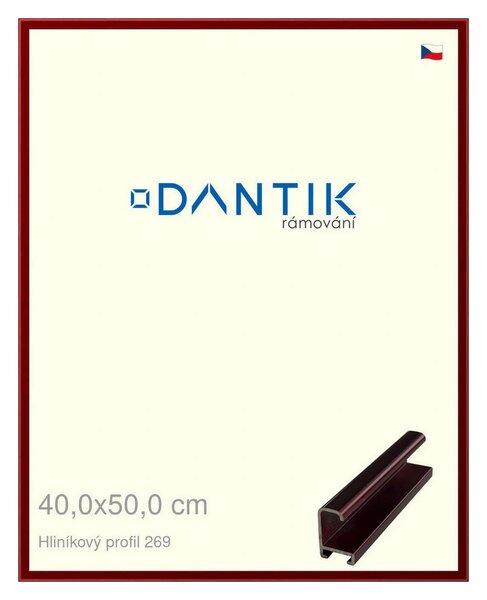 DANTIK rám na obraz 40x50 | ALU Červená Rubin broušená (Plexi Čiré)