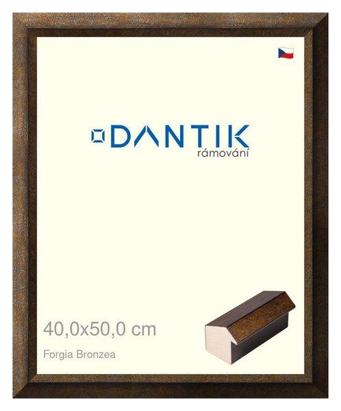 DANTIK rám na obraz 40x50 | Forgia Bronzea (Plexi Čiré)