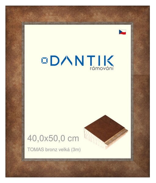 DANTIK rám na obraz 40x50 | TOMAS bronz velká (Plexi Čiré)